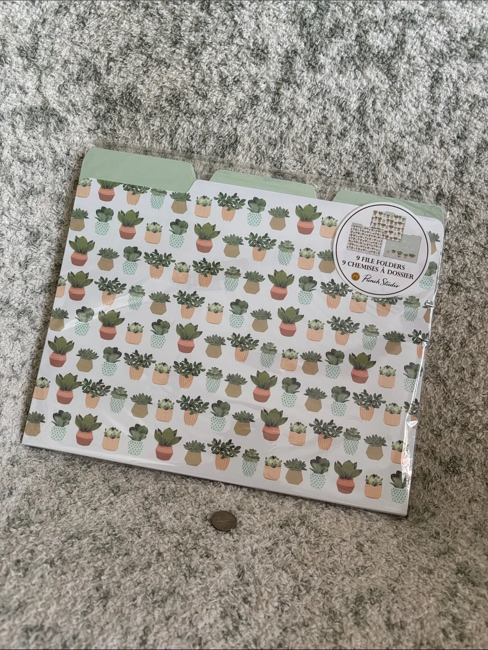 Punch Studio Designer Mint Green Succulent Cactus File Folders Set of 9 NWT